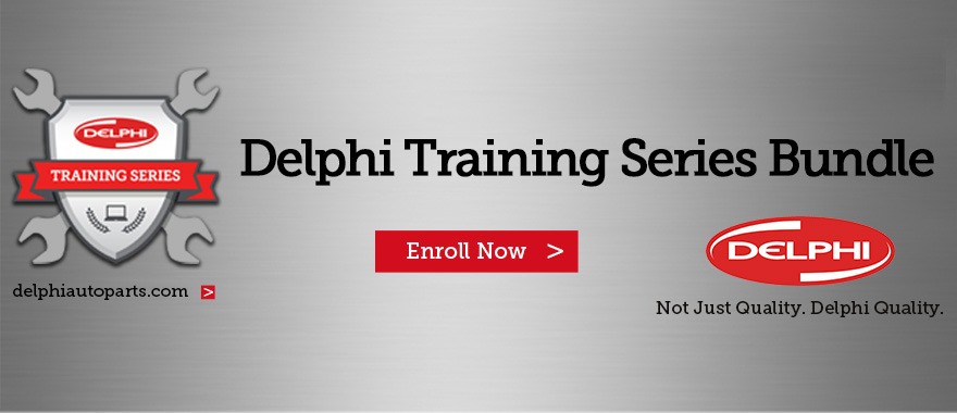 Delphi Training Series Bundle