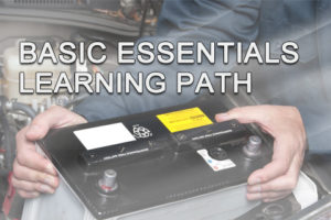 Basic Essentials Learning Path Bundle