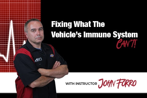 Fixing What The Vehicle’s Immune System Cant_480x320
