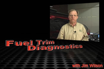 Fuel Trim Diagnostics